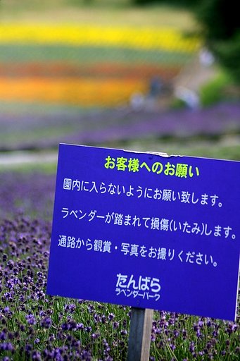 背景シリーズ　＃２　ネタバラシ編