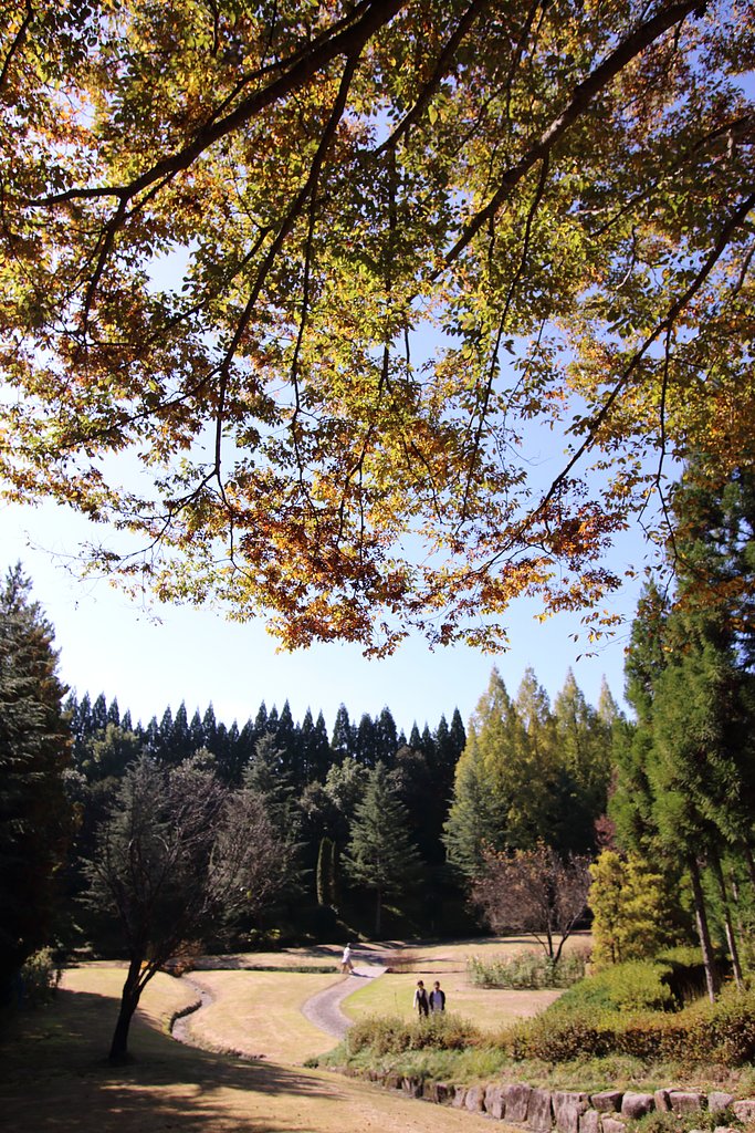 湧永満之記念庭園（第二庭園）その２