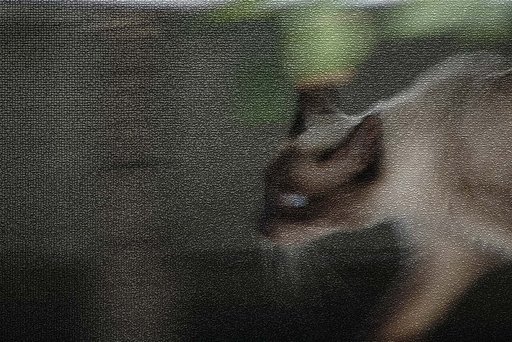 野生