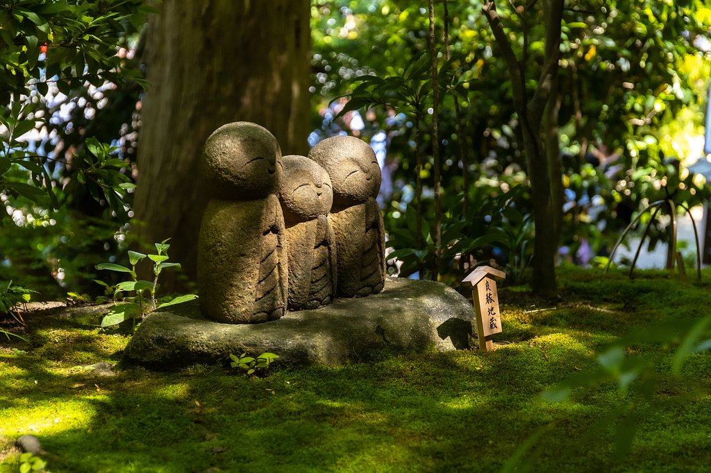 EF24-70mm f/4L IS USM