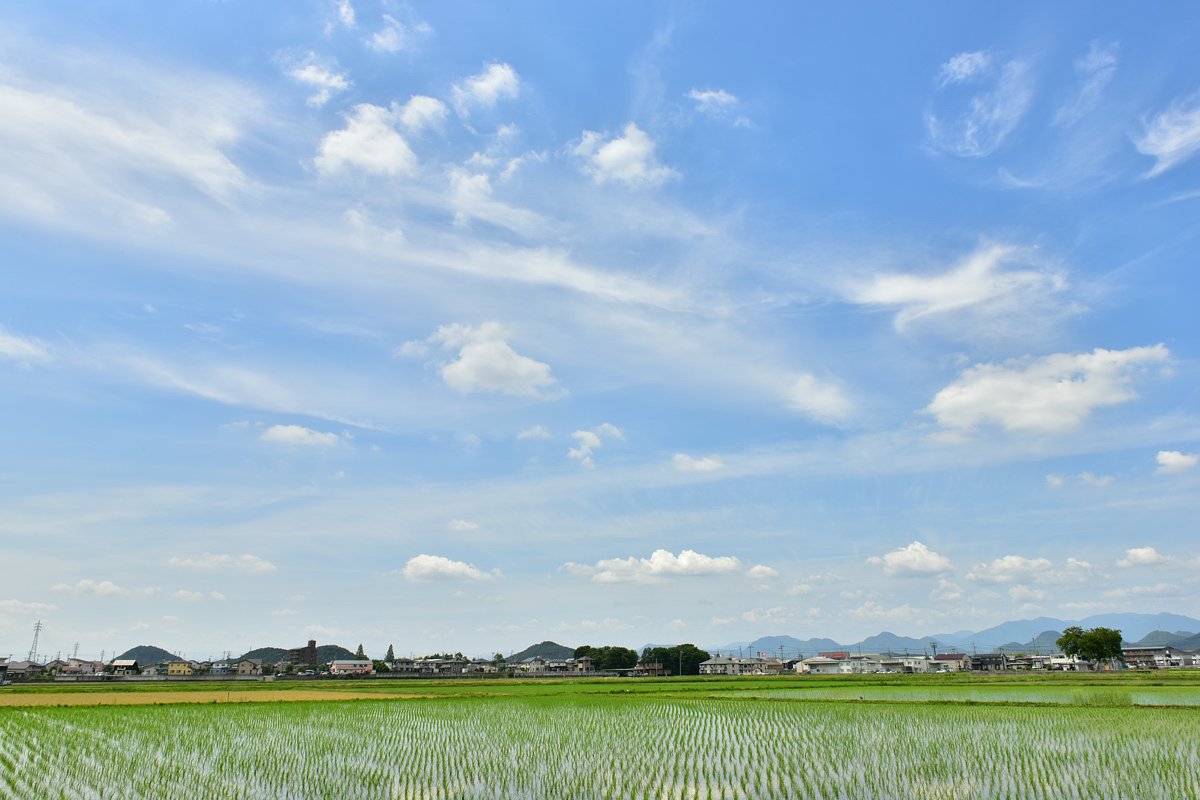 梅雨の中休み