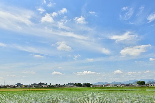 梅雨の中休み