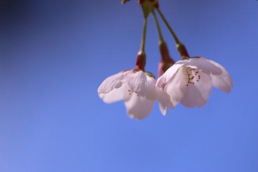 時・時間・未来・裏切らない