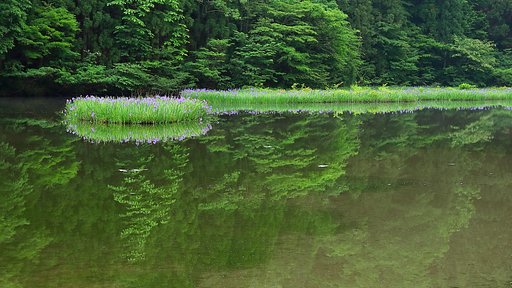 5月31日の写真