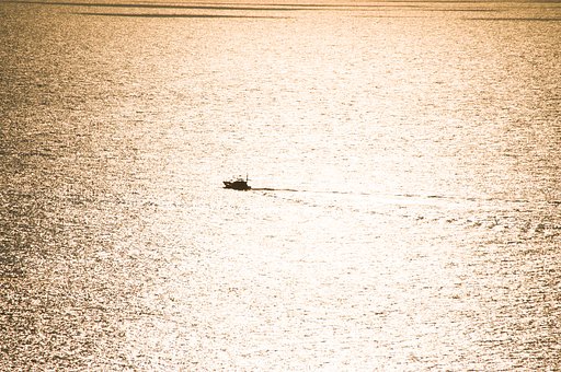 光の海を往く_2020