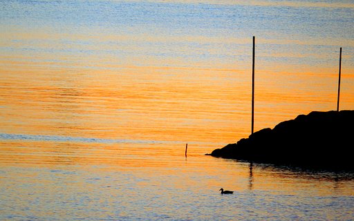 【彩】早朝の海