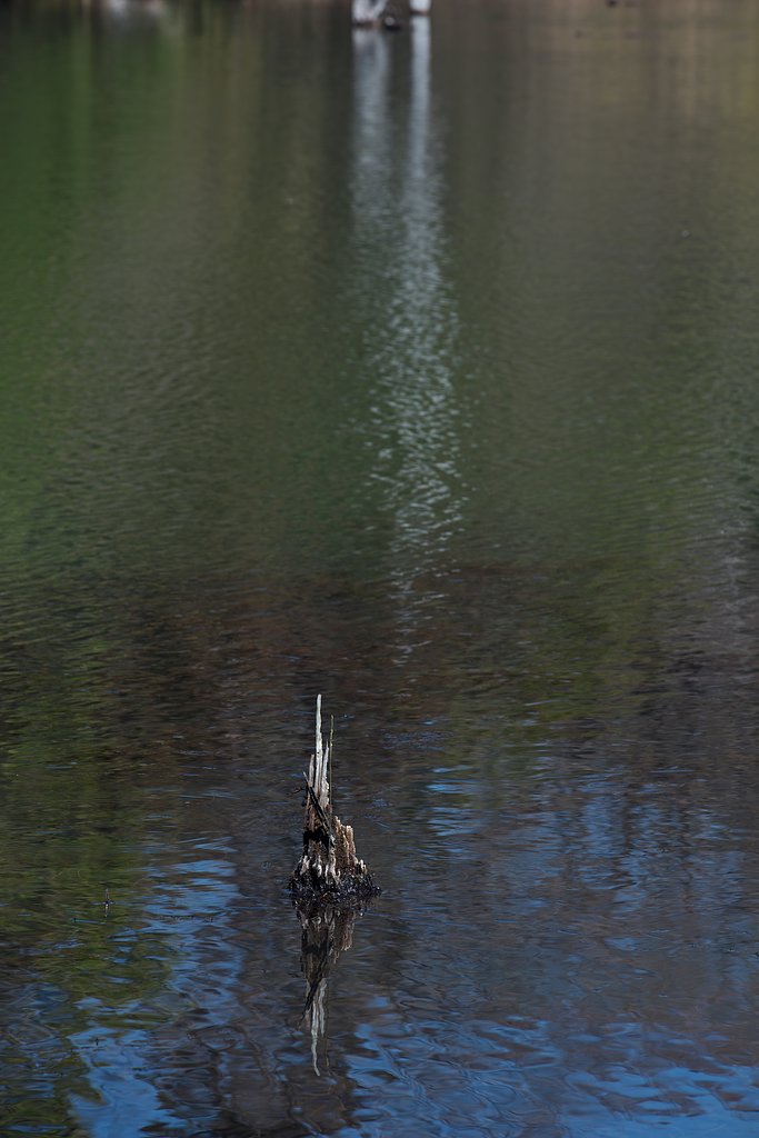 EF70-200mm F2.8L IS Ⅱ