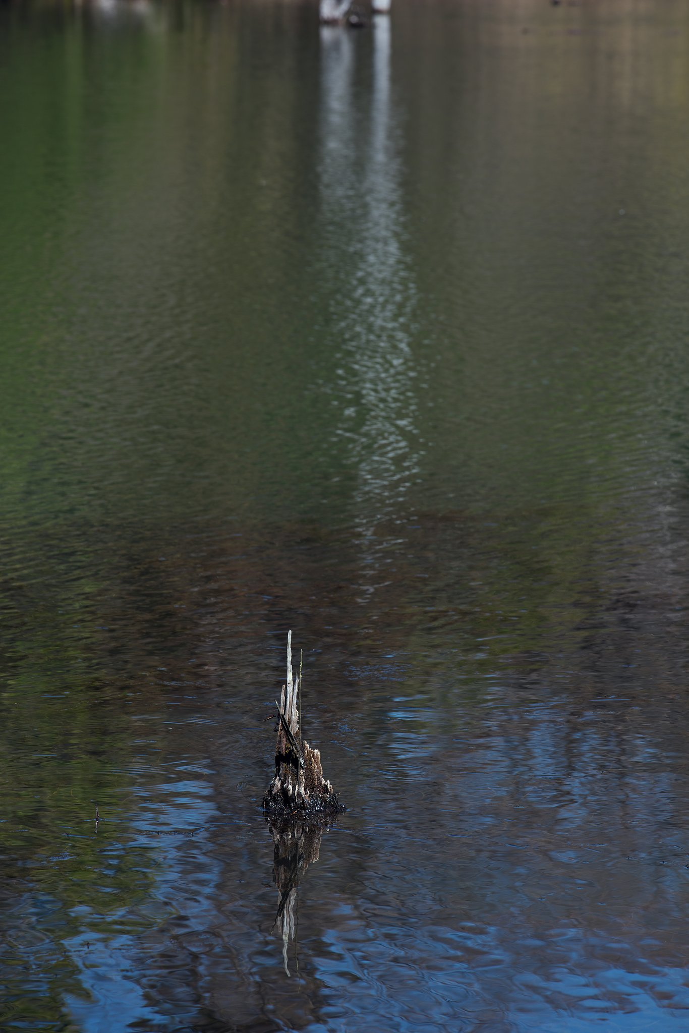 EF70-200mm F2.8L IS Ⅱ