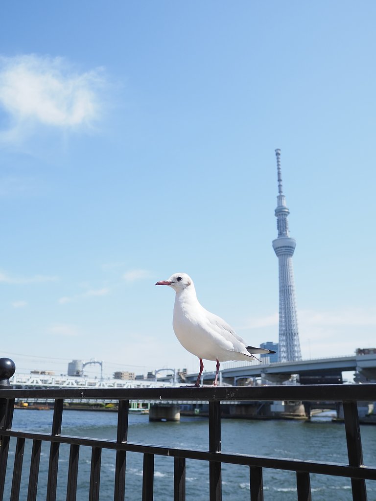 余裕のポーズ
