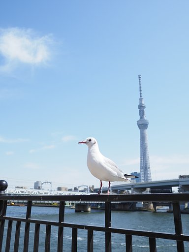 余裕のポーズ
