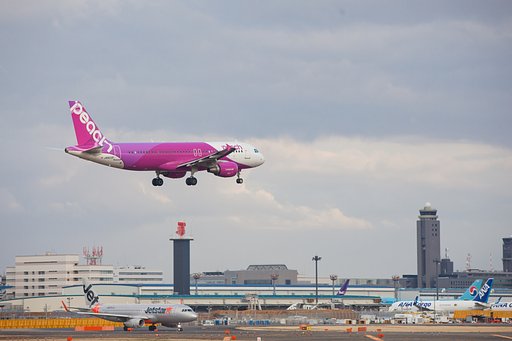2月22日の写真