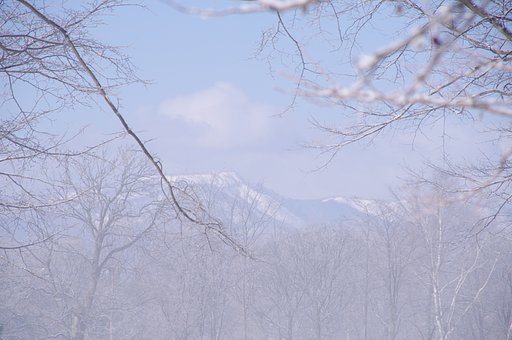 朝霧の向こう