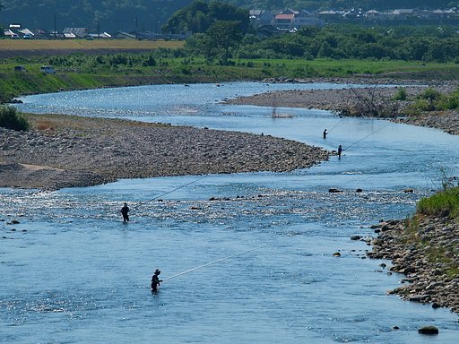 アユ釣り　その２