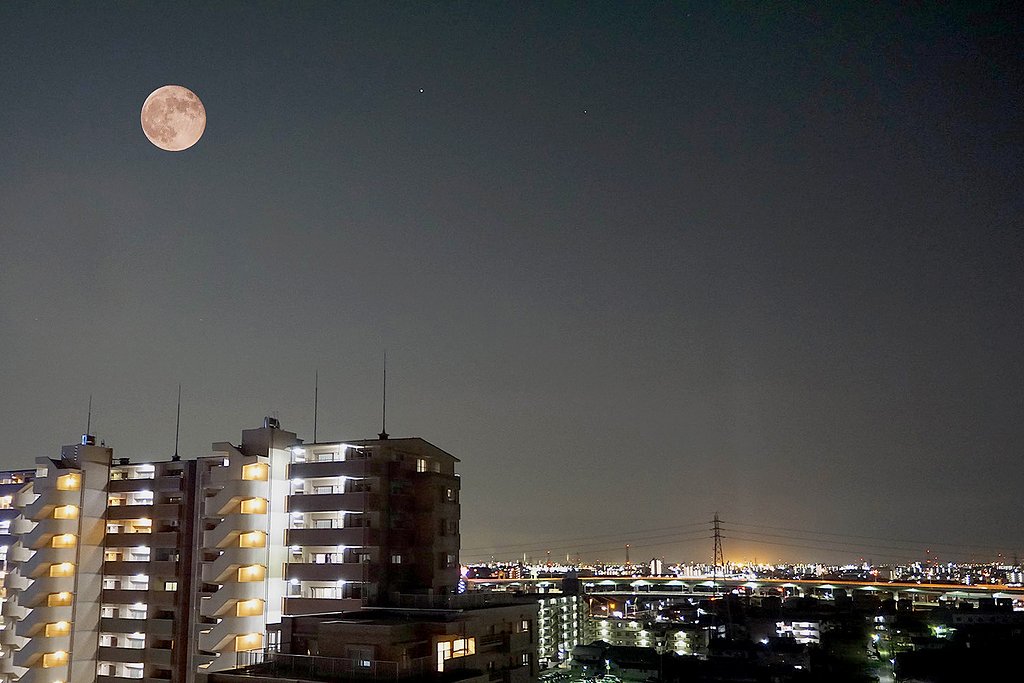 一日遅れの・・・