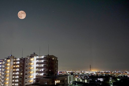 一日遅れの・・・