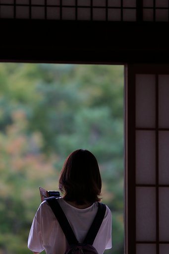 さわやか美人百景・そうだ！京都行こう！