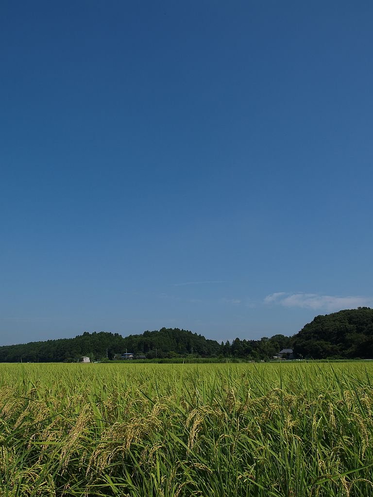 秋の空