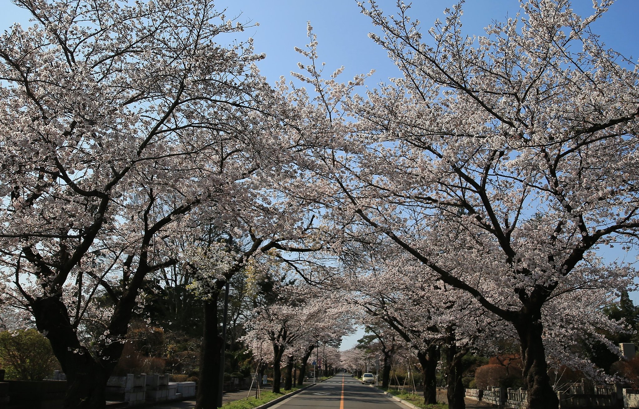花道