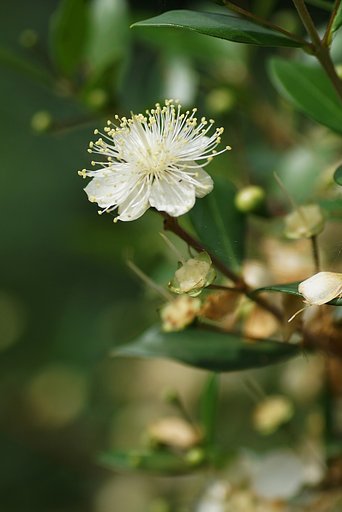 6月28日の写真
