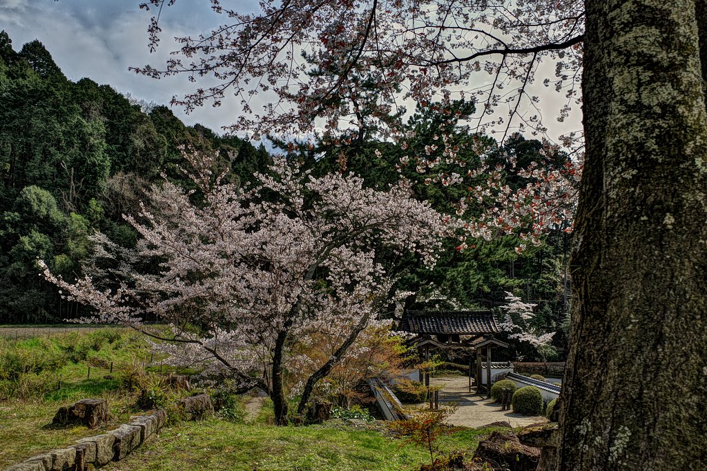 付属レンズ