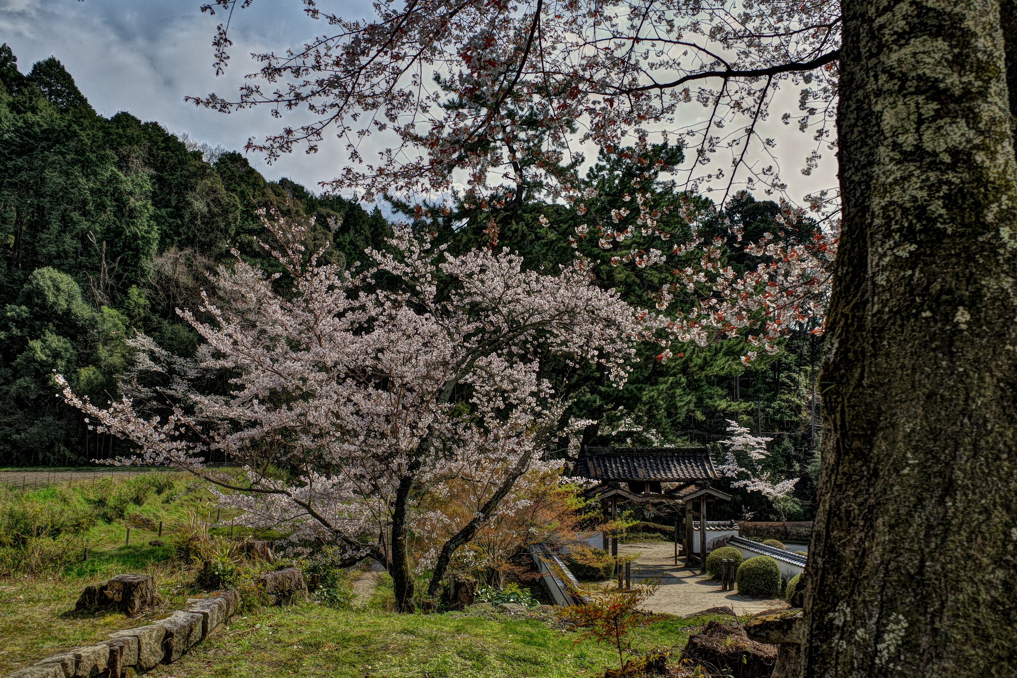 付属レンズ