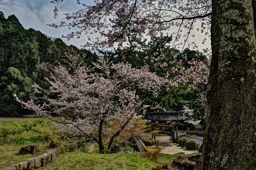付属レンズ