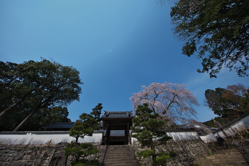 EF11-24mm F4L