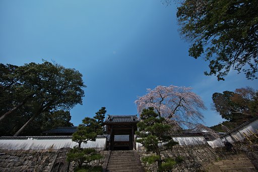 EF11-24mm F4L