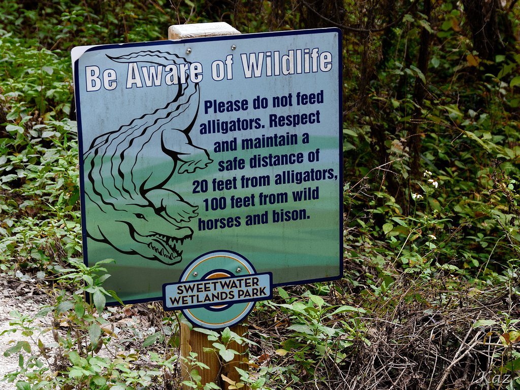 Sweetwater Wetlands Park