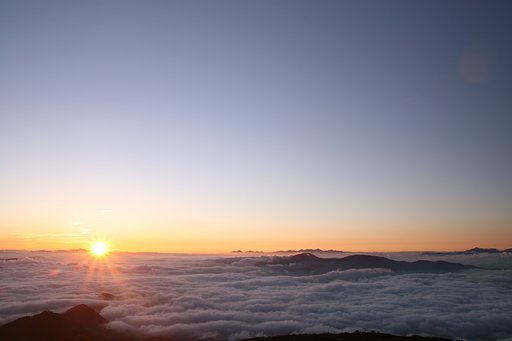 歓喜の夜明け