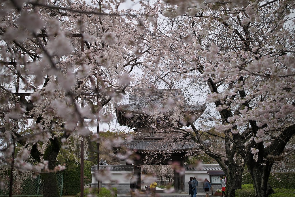 山門