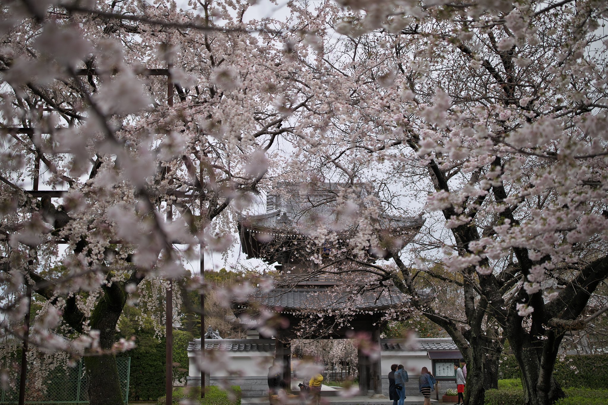 山門