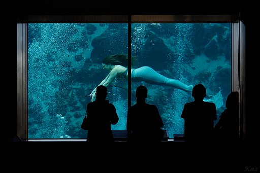 人魚姫
