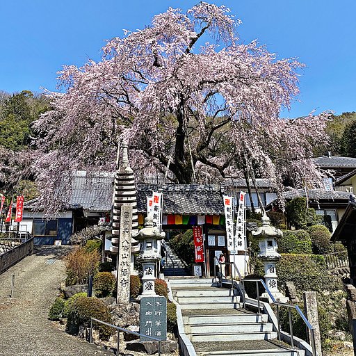 ４月のお題は【はな】です。