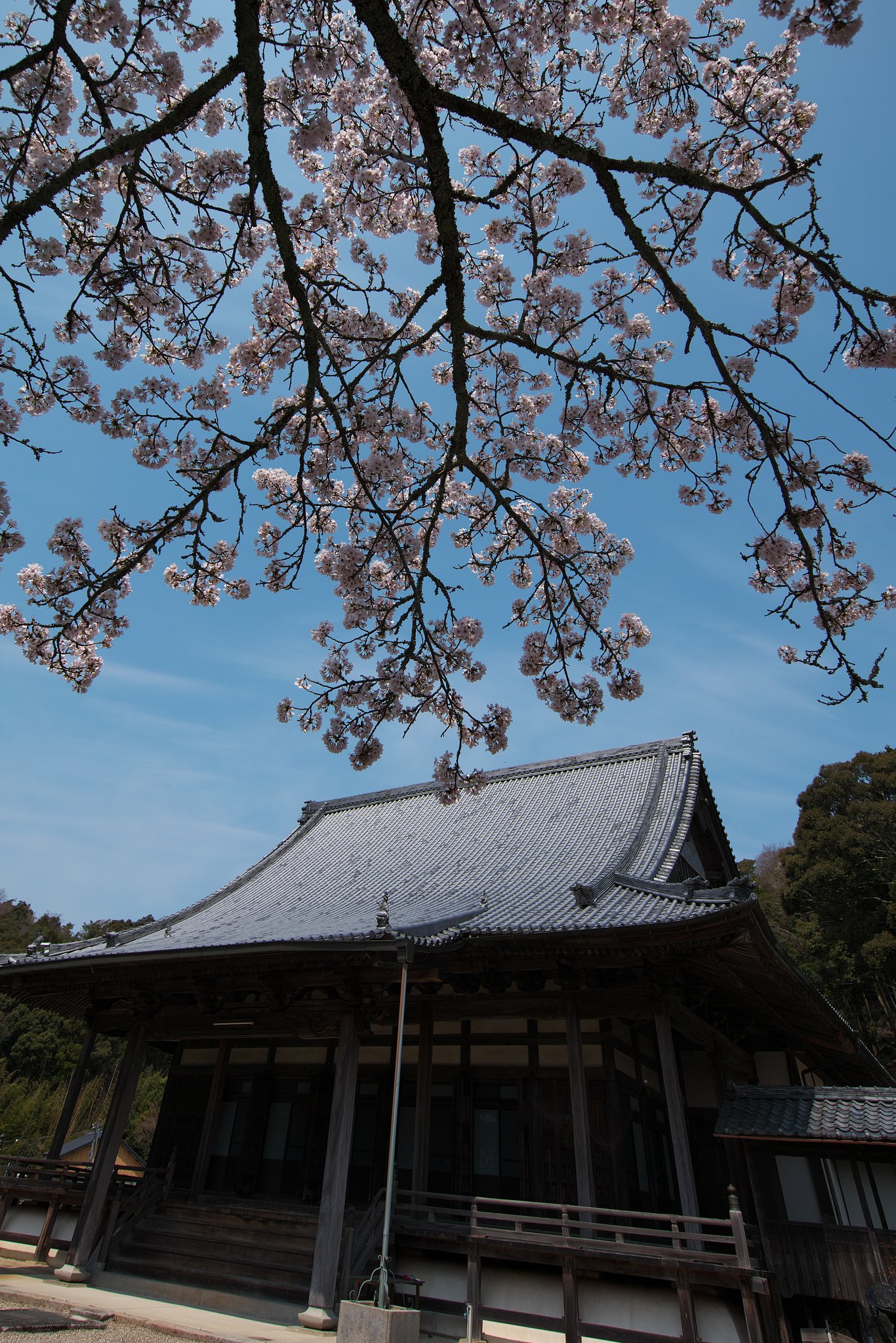 EF11-24mm F4L