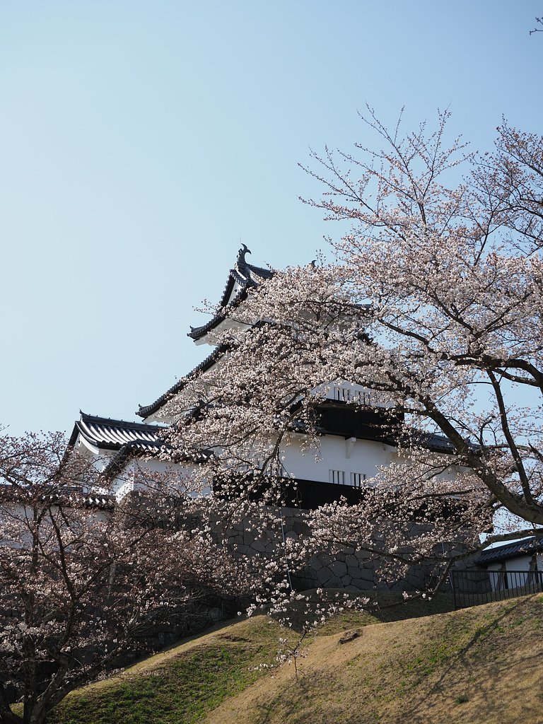 白河小峰城