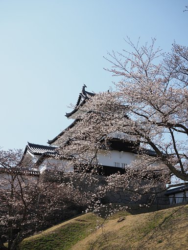 白河小峰城