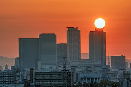 朝景の【はな】③