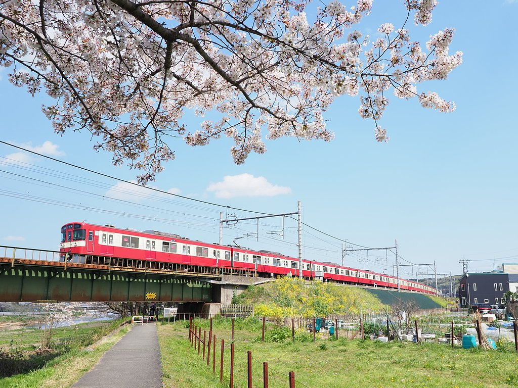 桜と赤い電車