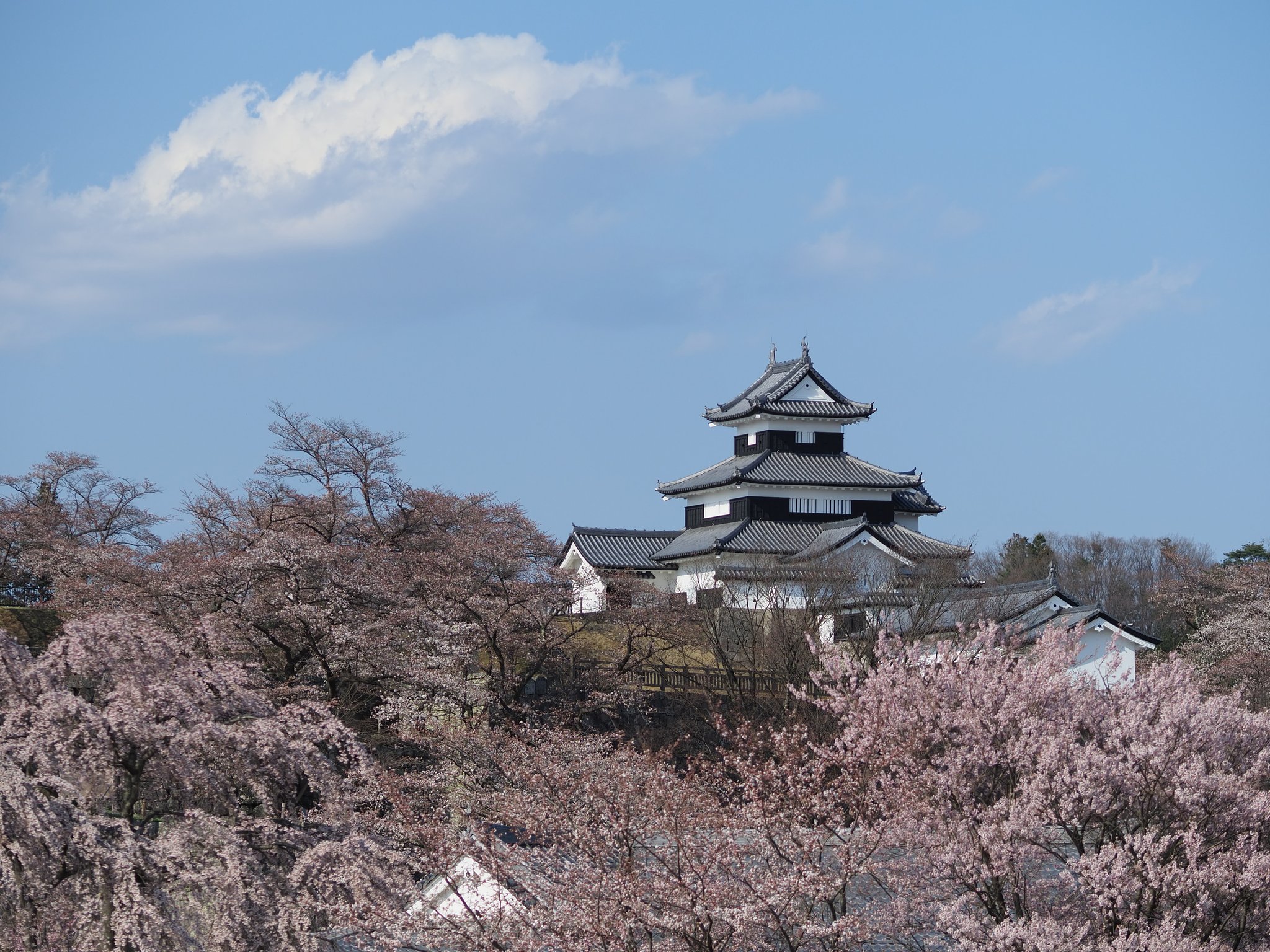 春が燃える