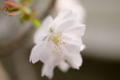 癒されて