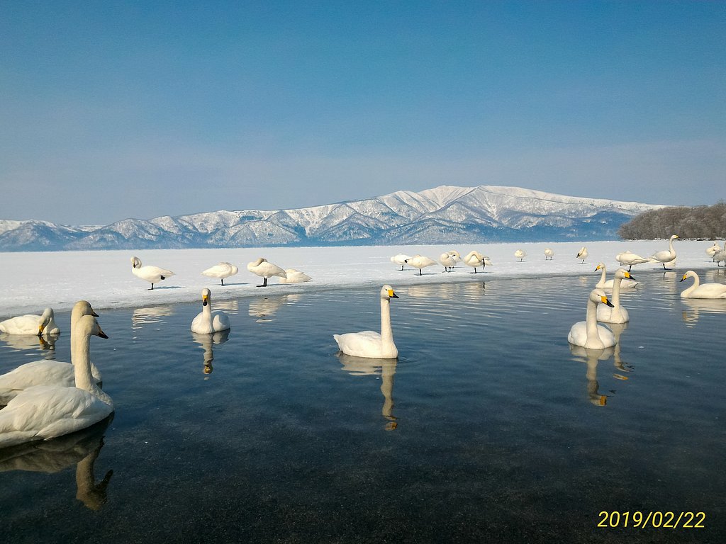 砂湯