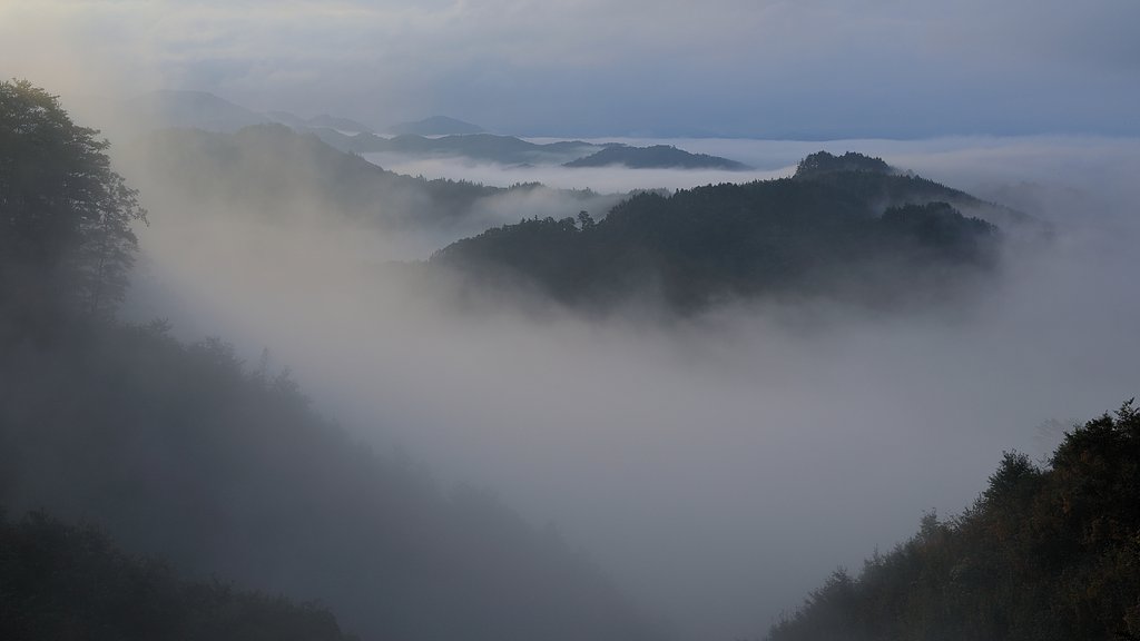 雲海を撮りに