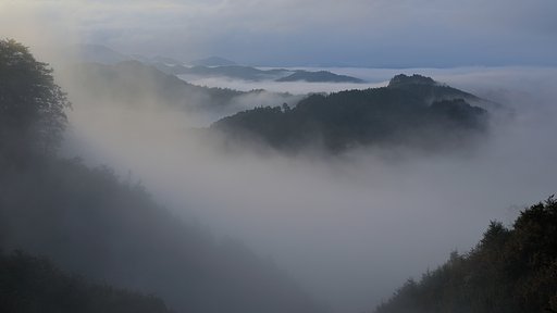 雲海を撮りに