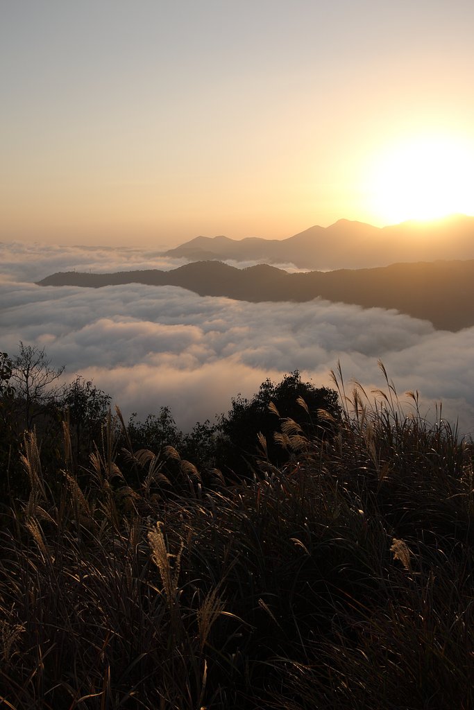 荒谷山・日の出
