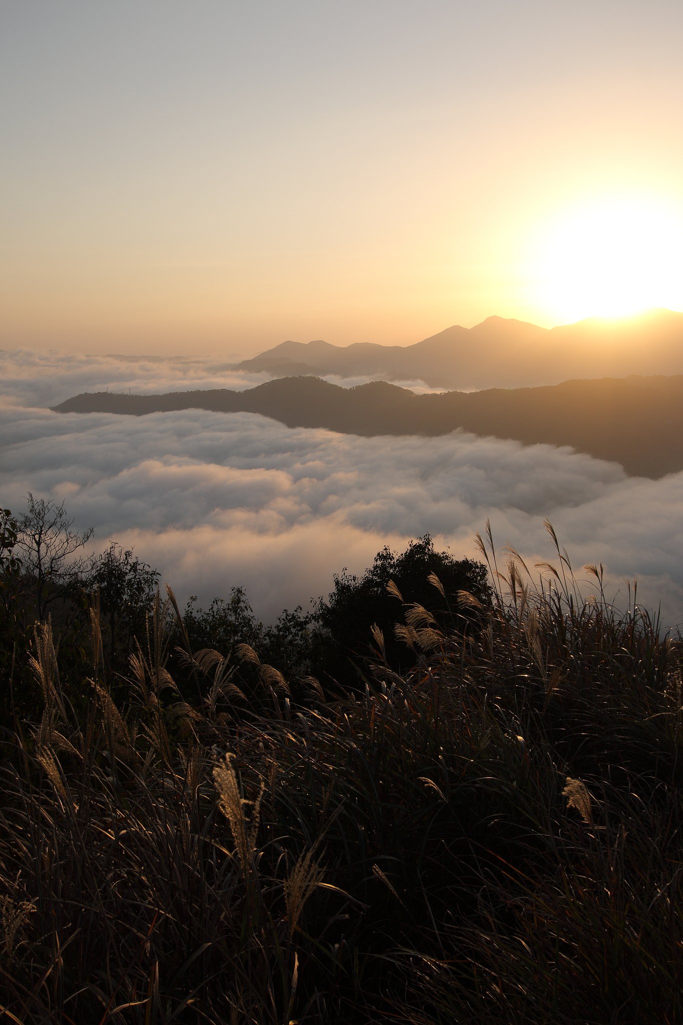 荒谷山・日の出