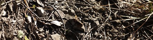 2月24日の写真