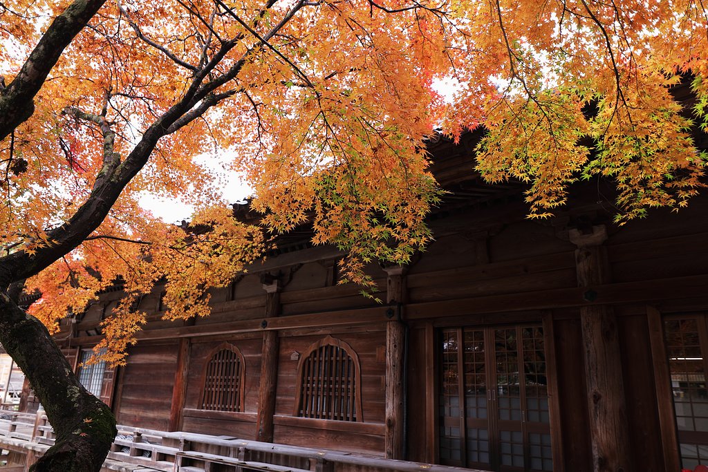 真福寺の紅葉２