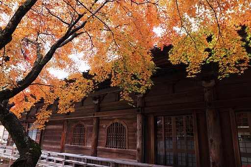 真福寺の紅葉２