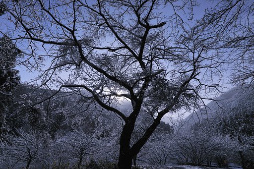12月16日の写真